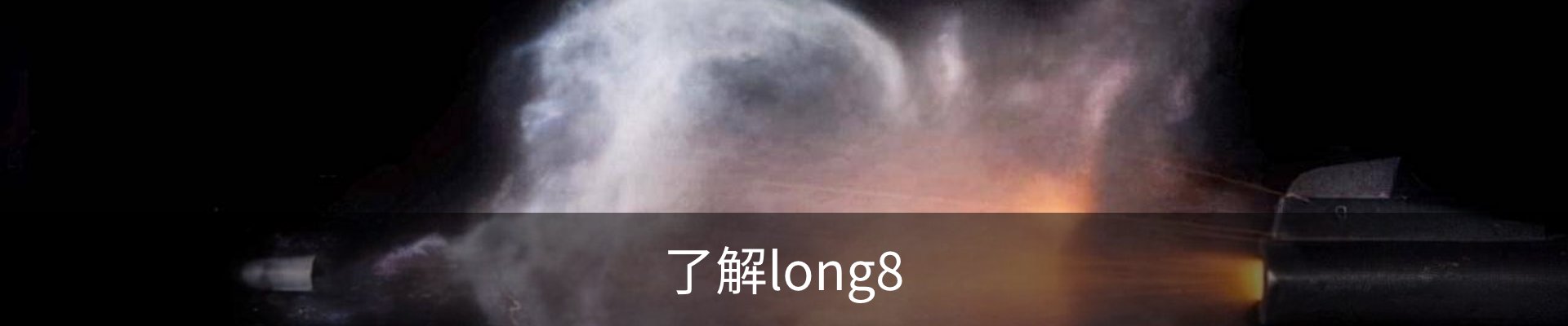 了解long8